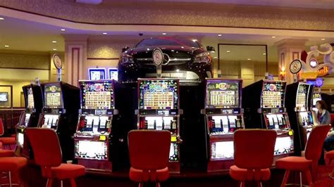 bingo casino hotel/